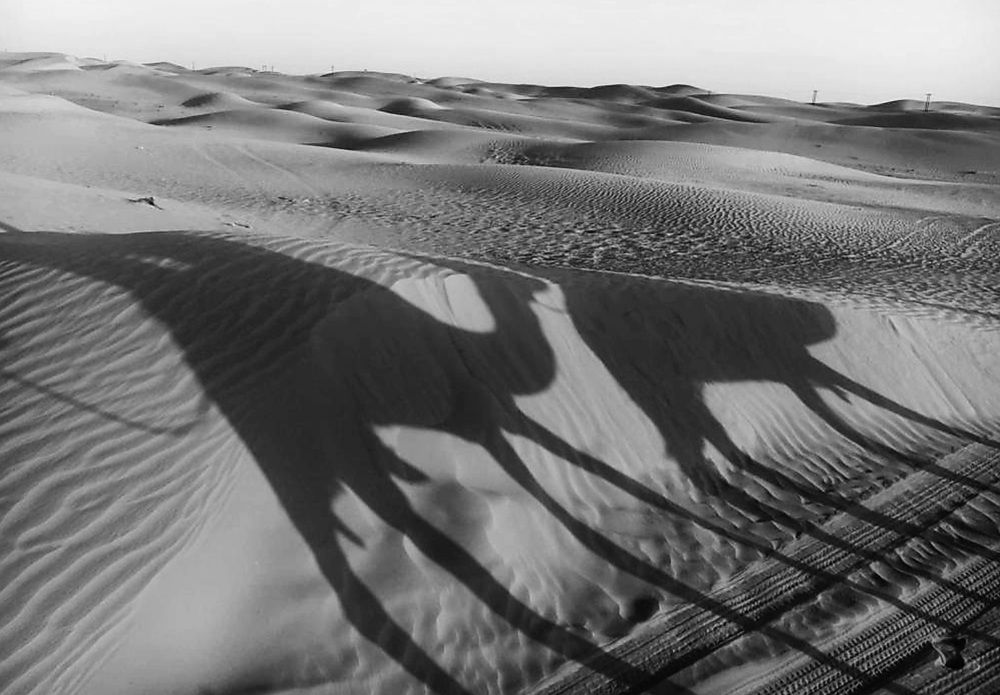 Photograph by Евгений Савулькин