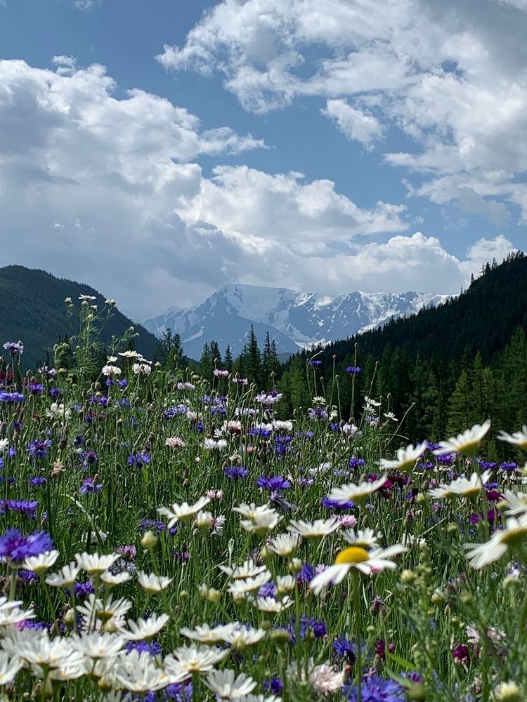 Photograph by Джамиля Ремизова