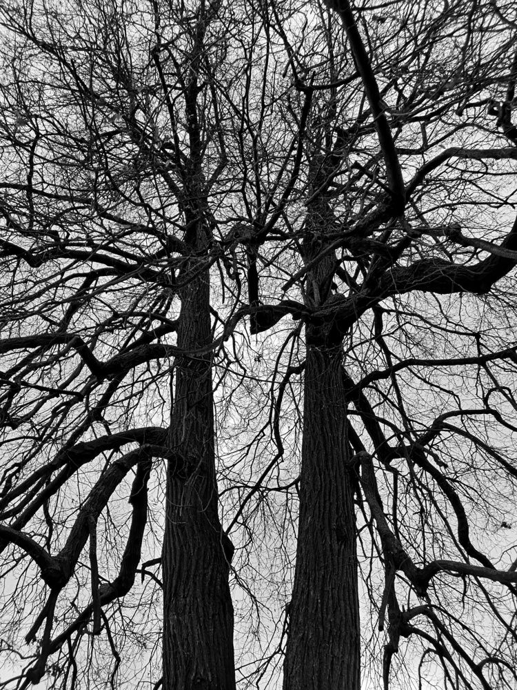 Photograph by Natali AB