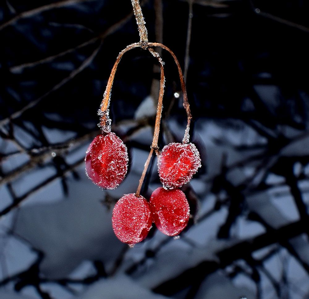Photograph by Александр Шувалов