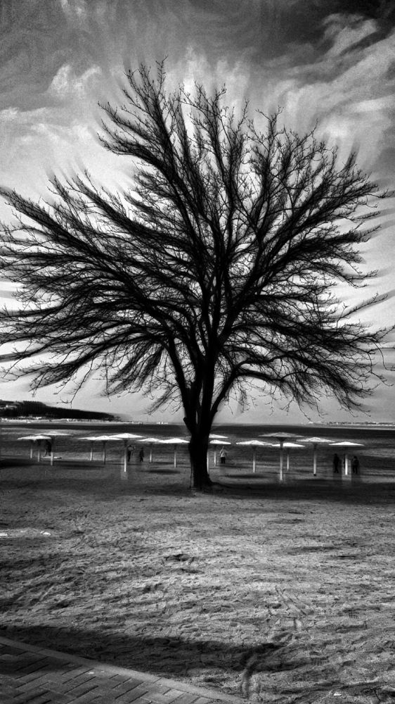 Photograph by Екатерина Мурсынина