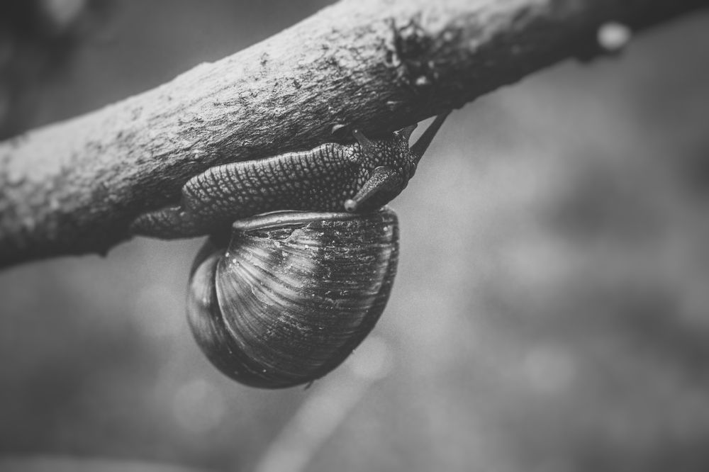 Photograph by Екатерина Мурсынина