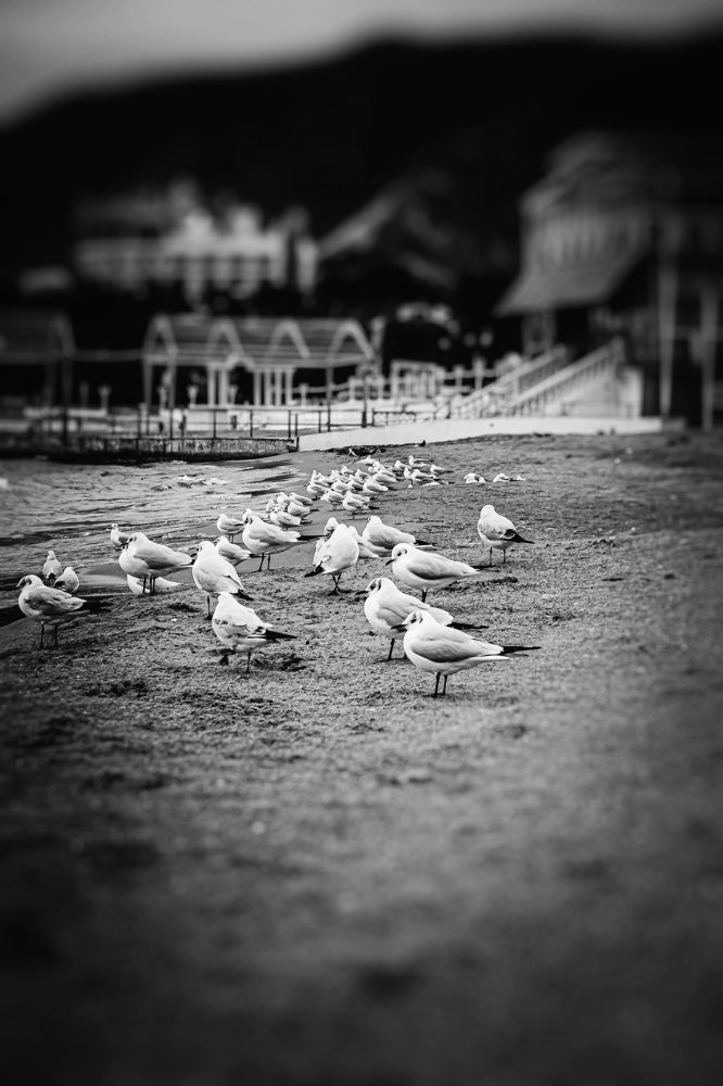 Photograph by Екатерина Мурсынина