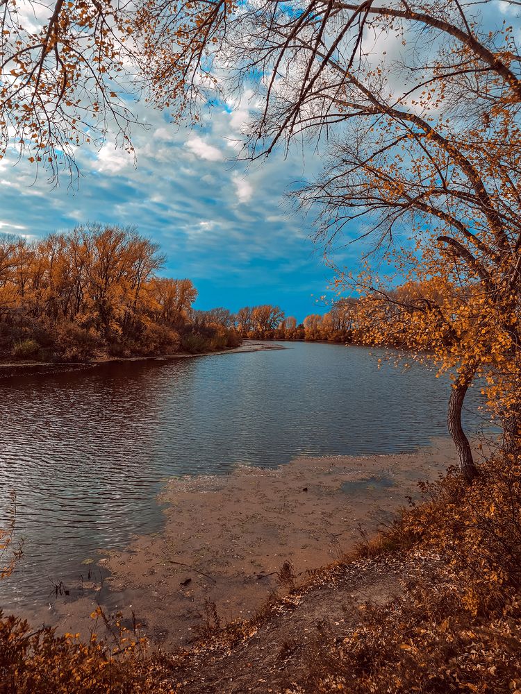 Photograph by Ирина Сергеева