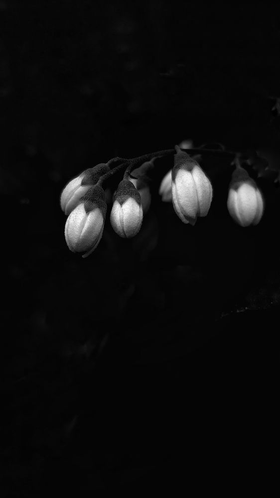 Photograph by Екатерина Мурсынина