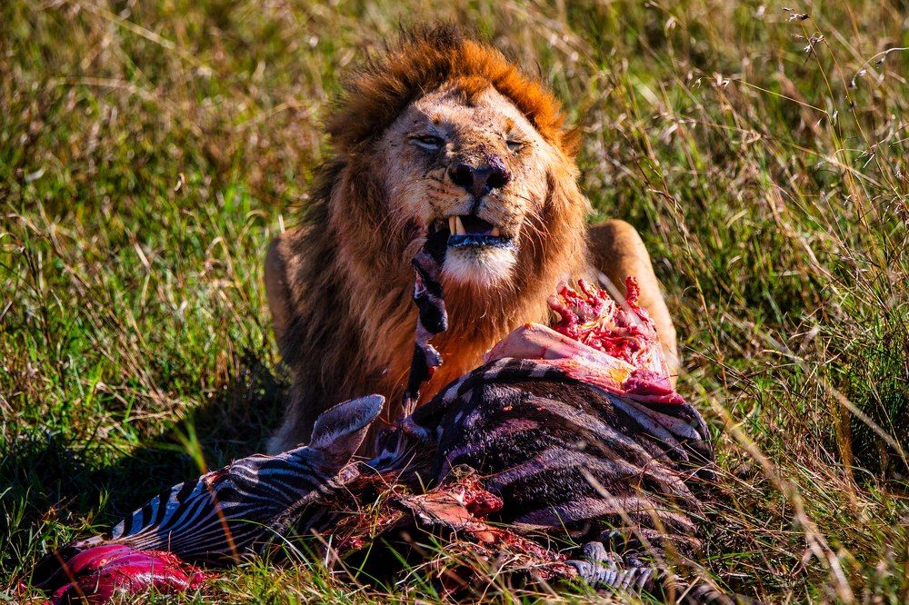 Photograph by Zubair Irshad