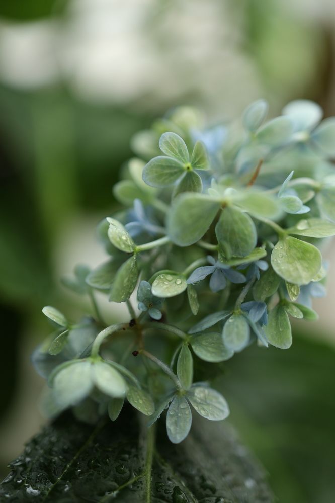 Photograph by Бальзирова Наталья