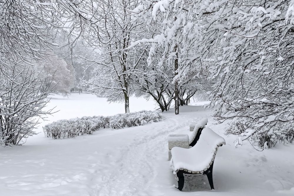 Photograph by Староверов Станислав