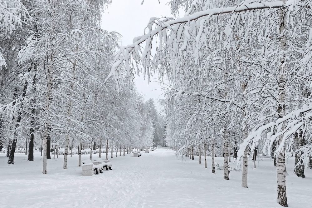 Photograph by Староверов Станислав