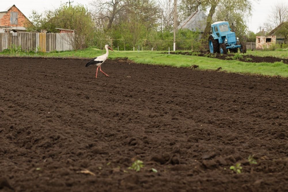 Photograph by даша ващенко