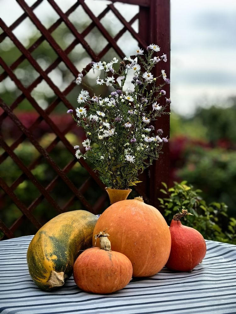 Фотография автора Юра Кладухин