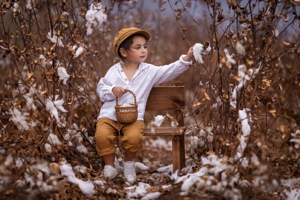 Фотография автора osher pashinsky