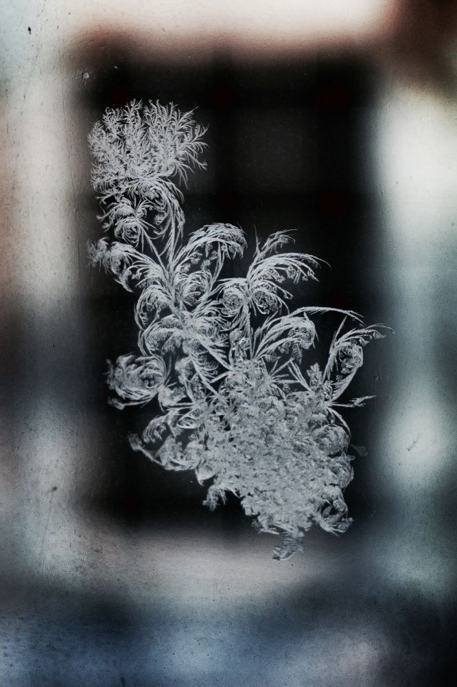 Photograph by Елена Ласун