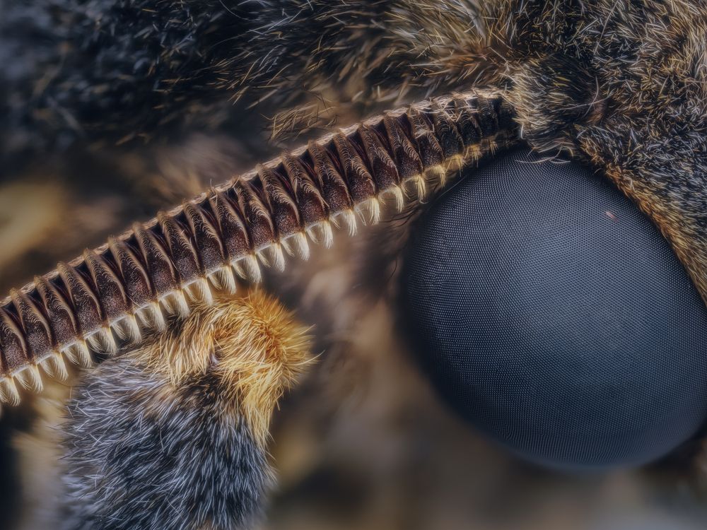 Photograph by Yuan Ji