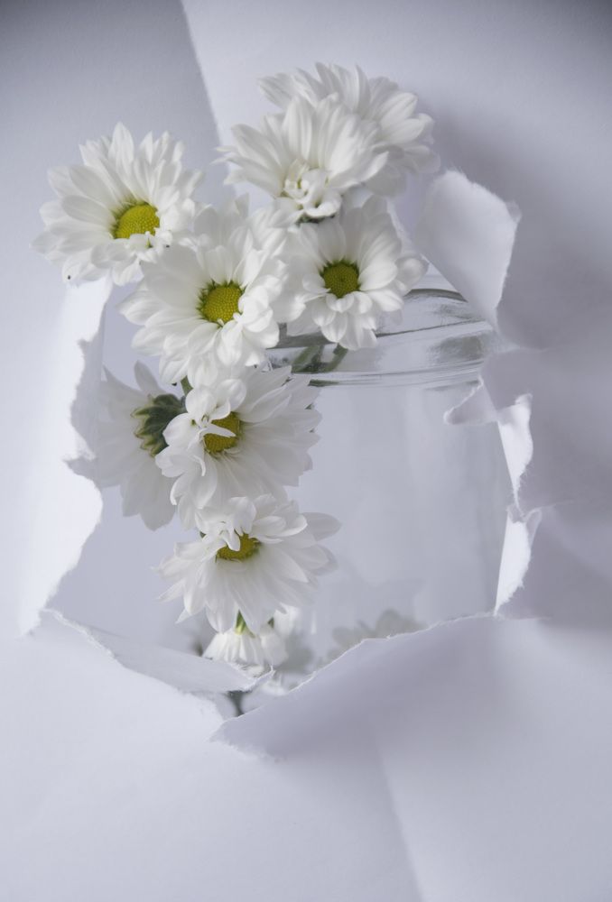 Photograph by Сидоренко Оксана