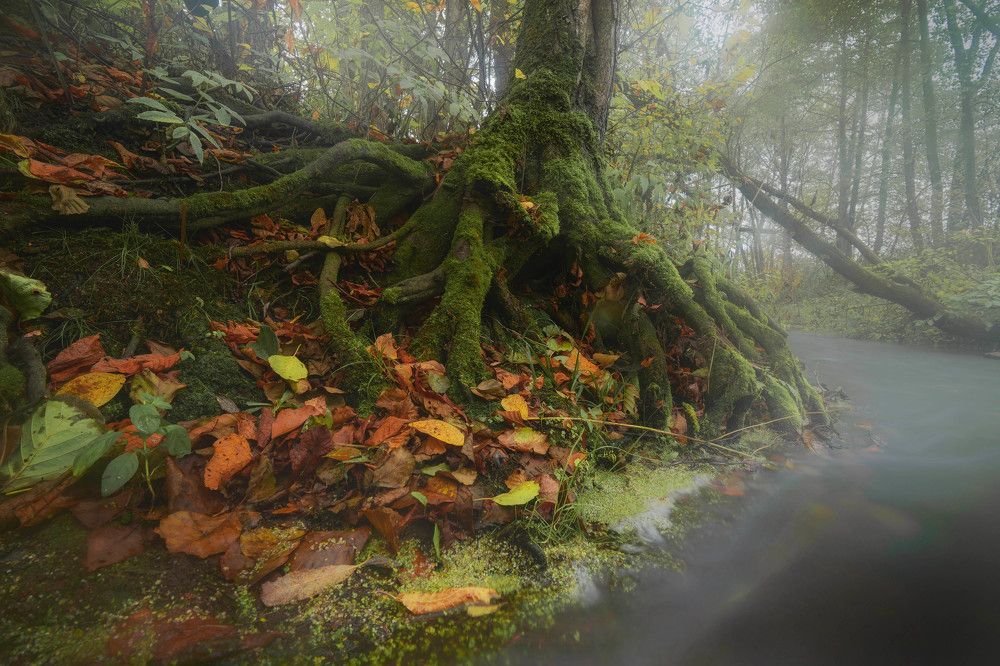 Photograph by Silyavin Nikita