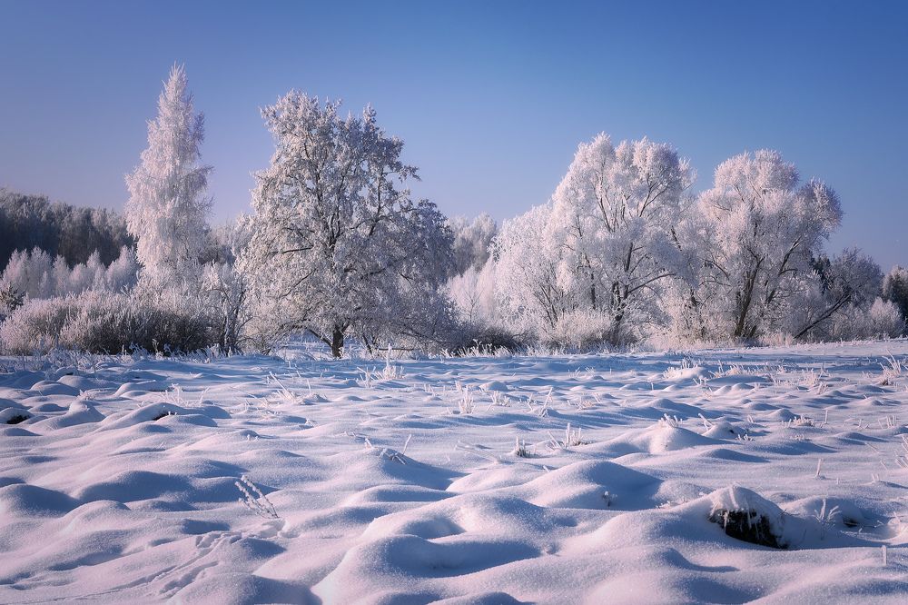 Феерия зимы...