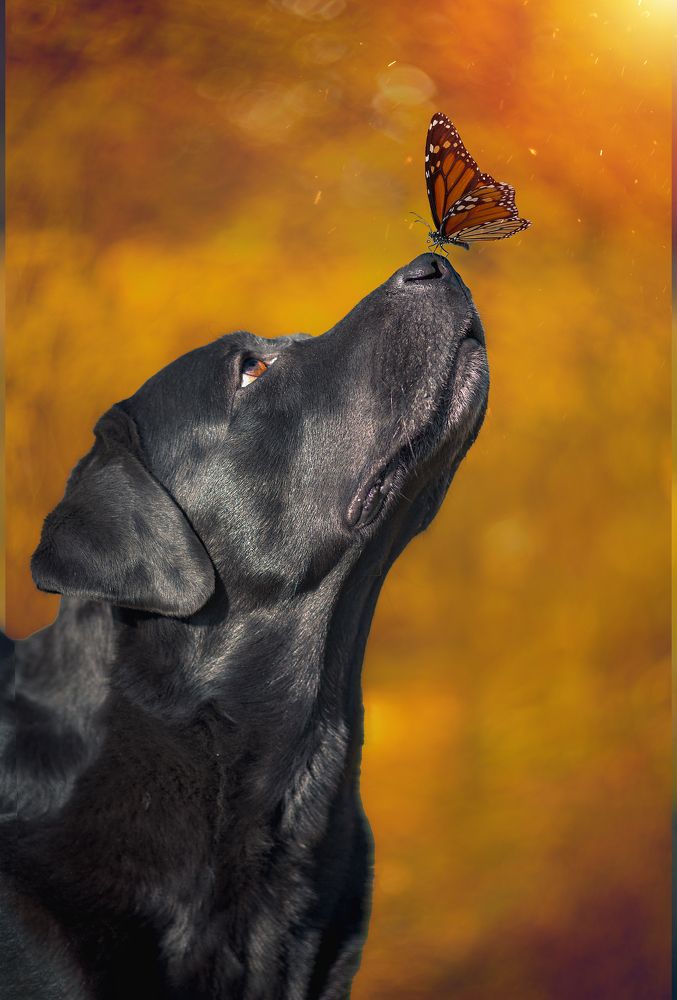 Осенний Приветик!