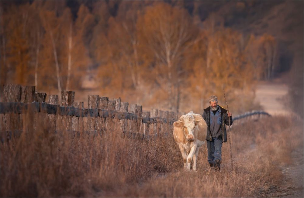 Photograph by Влад Соколовский
