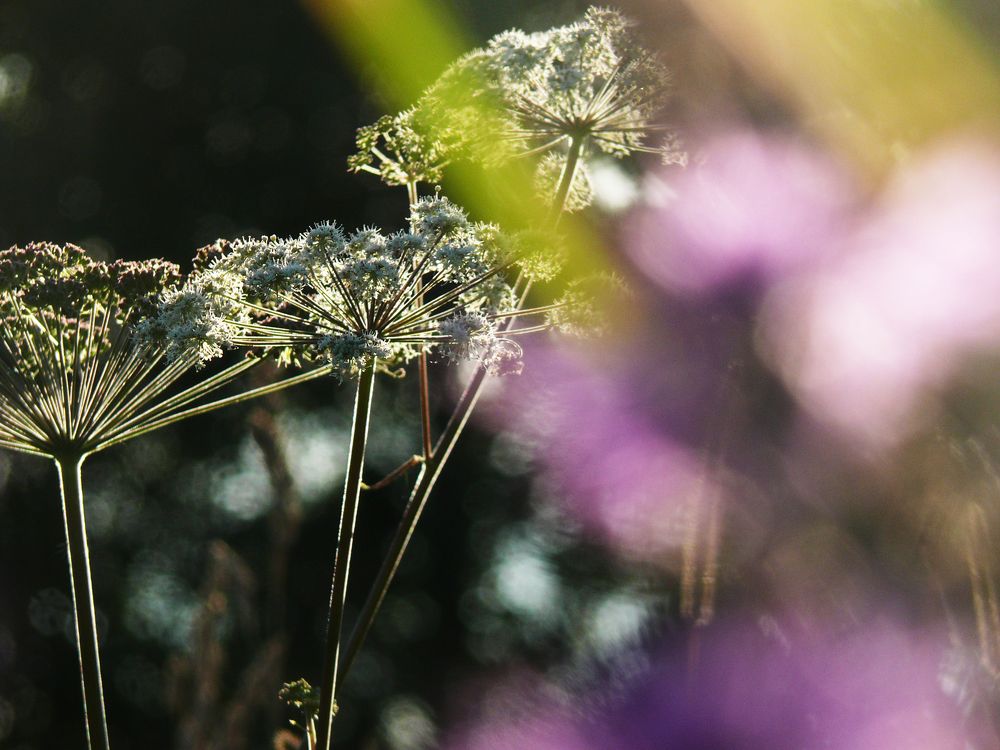 Photograph by Василий