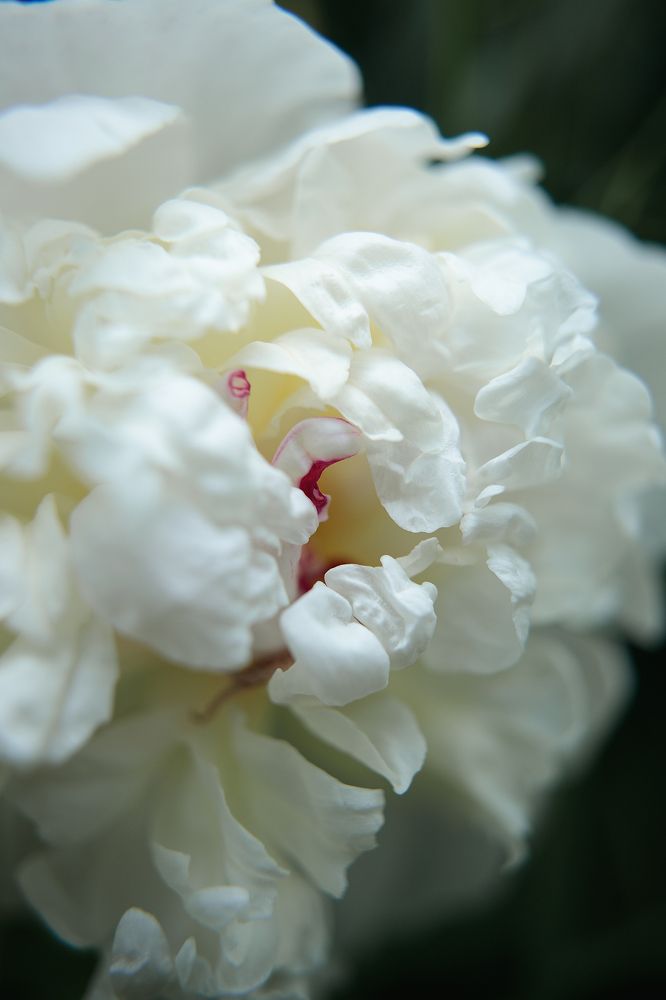 Photograph by Наталья Смирнова