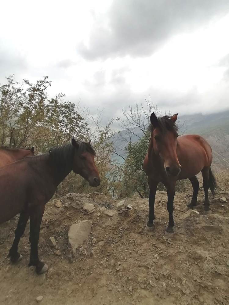 Photograph by Татьяна Ненюхина