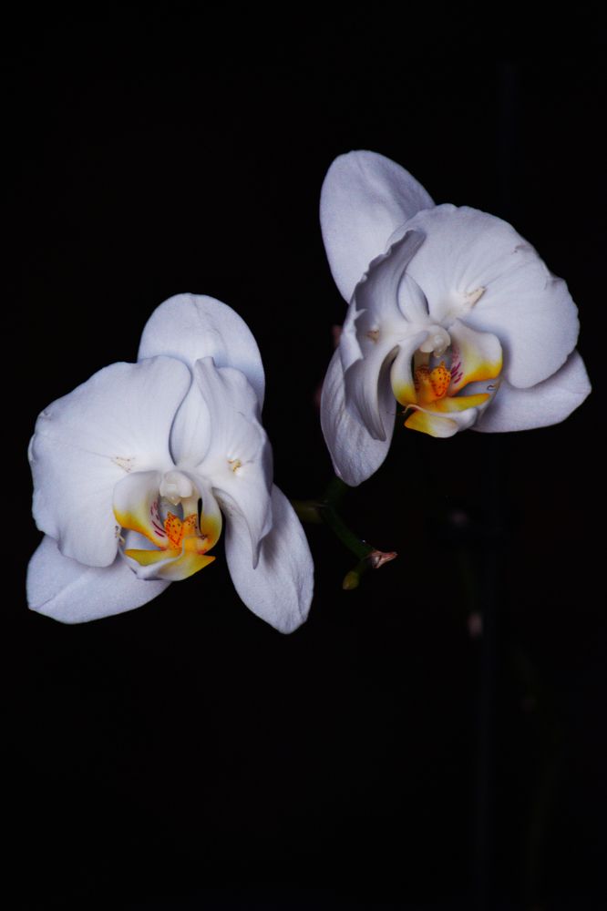 Photograph by Марина Канавченко