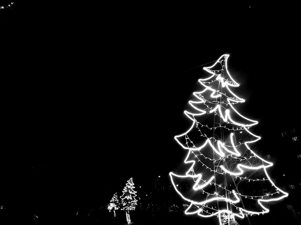 Photograph by Ирина Половцева