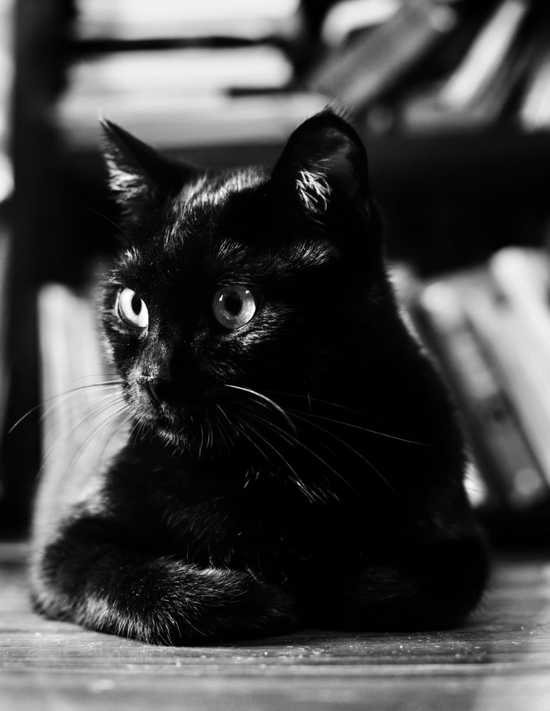 Photograph by Nguyen Thi Chieu Xuan