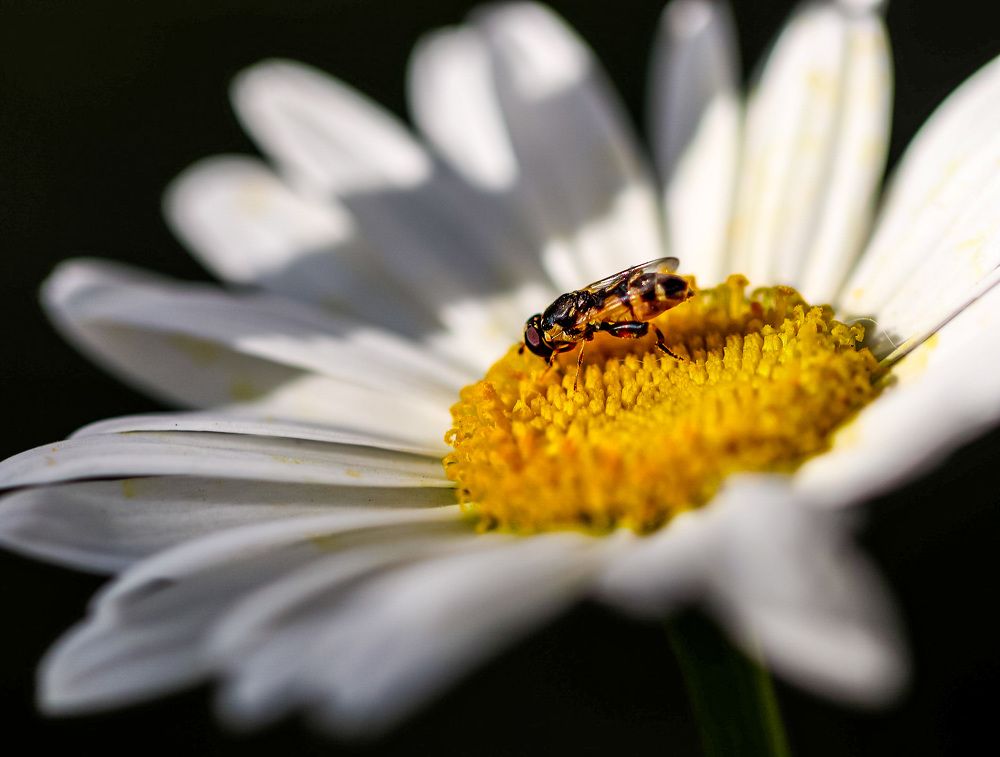 Photograph by Оксана Сафина