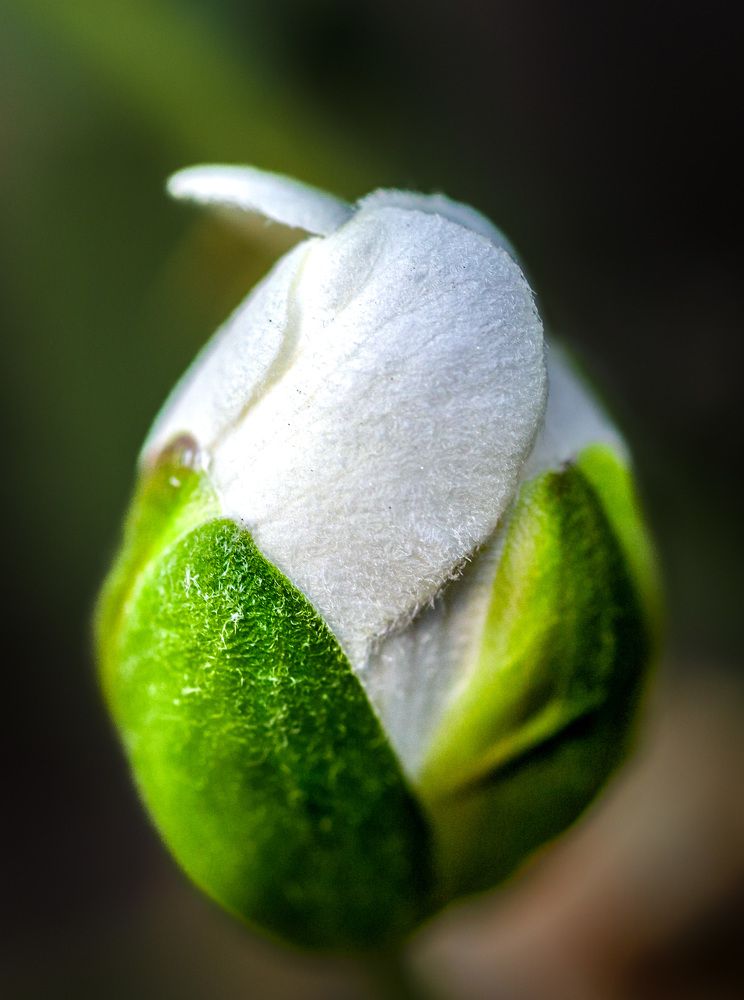 Photograph by Оксана Сафина