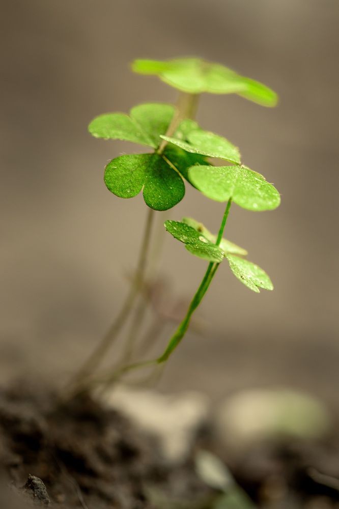 Photograph by Оксана Сафина