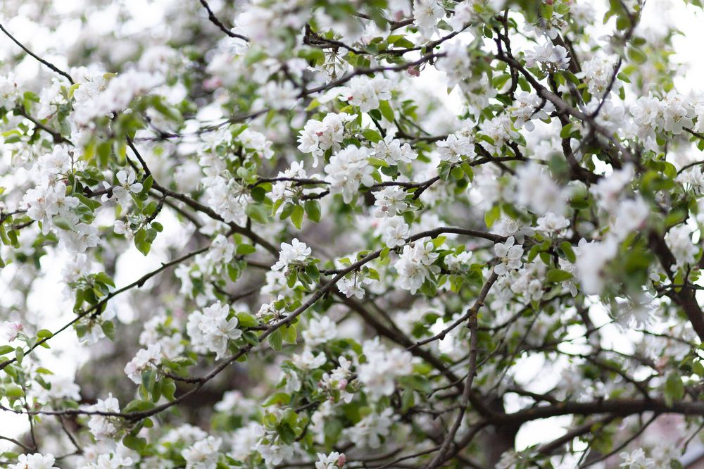 Photograph by Владимир Догодька