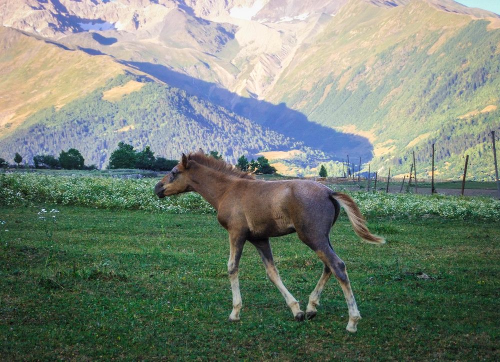 Photo #9631636