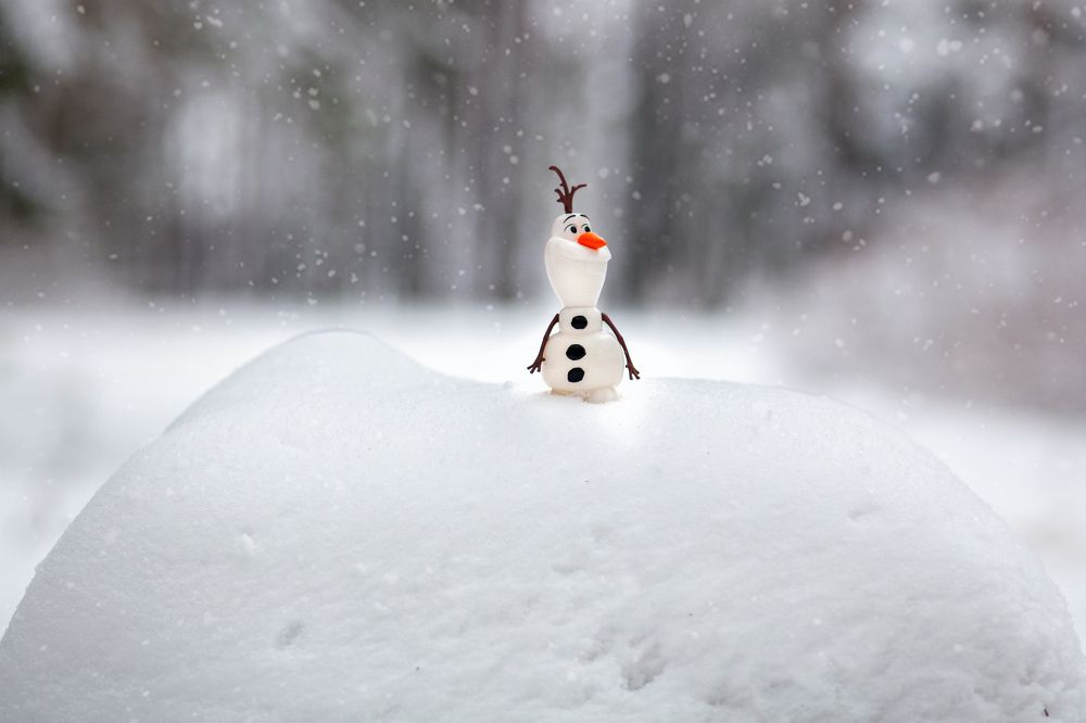 Фотография автора Кристина Догодька