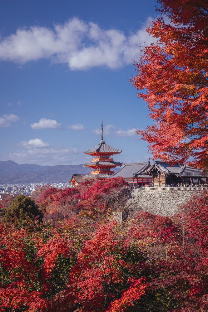 Photograph by Quang Dieu Le