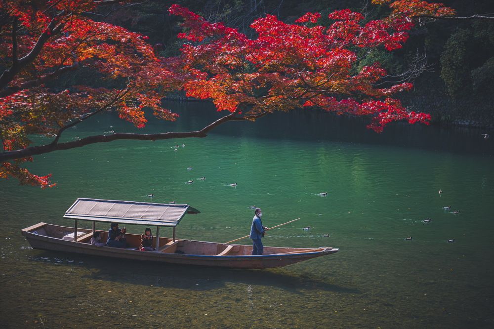 Photograph by Quang Dieu Le