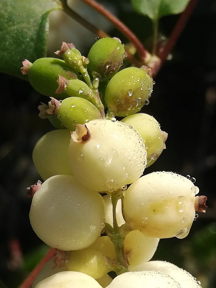 Photograph by Evgeniya Burkaeva