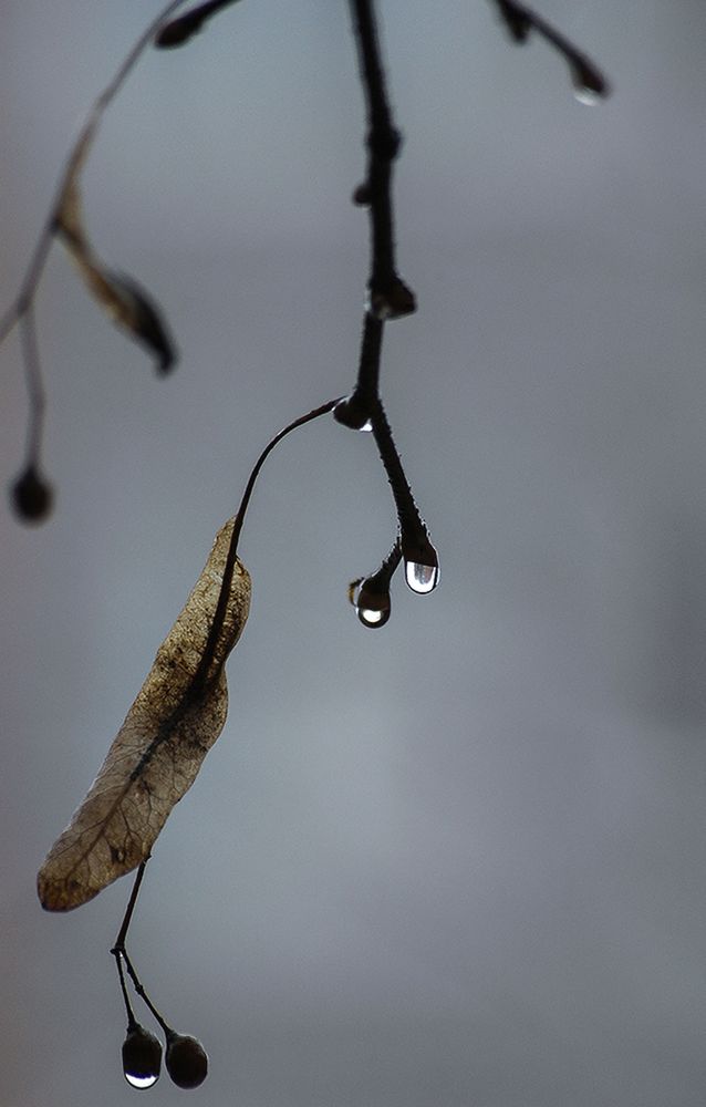 Photograph by Алексей Патлах