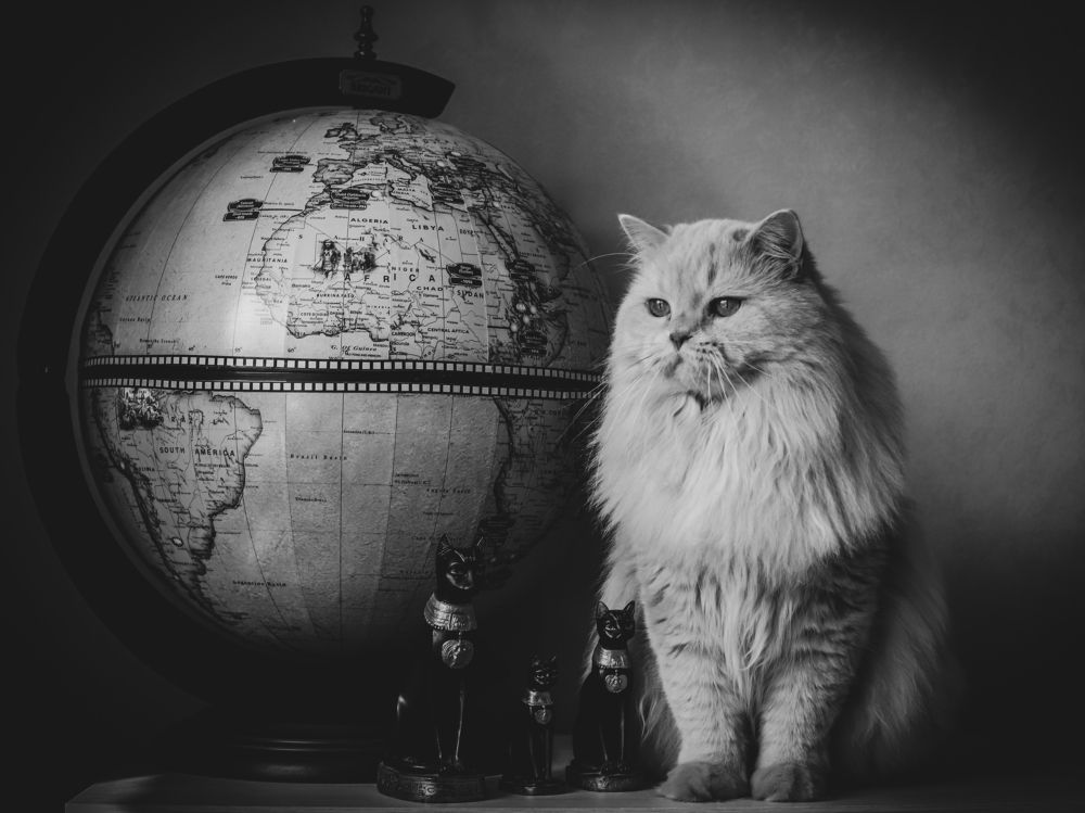 Photograph by Альвина Кузнецова