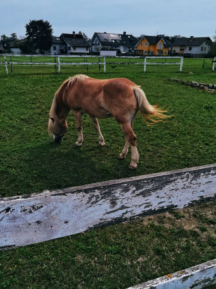 Photograph by Lera Zilbershtein