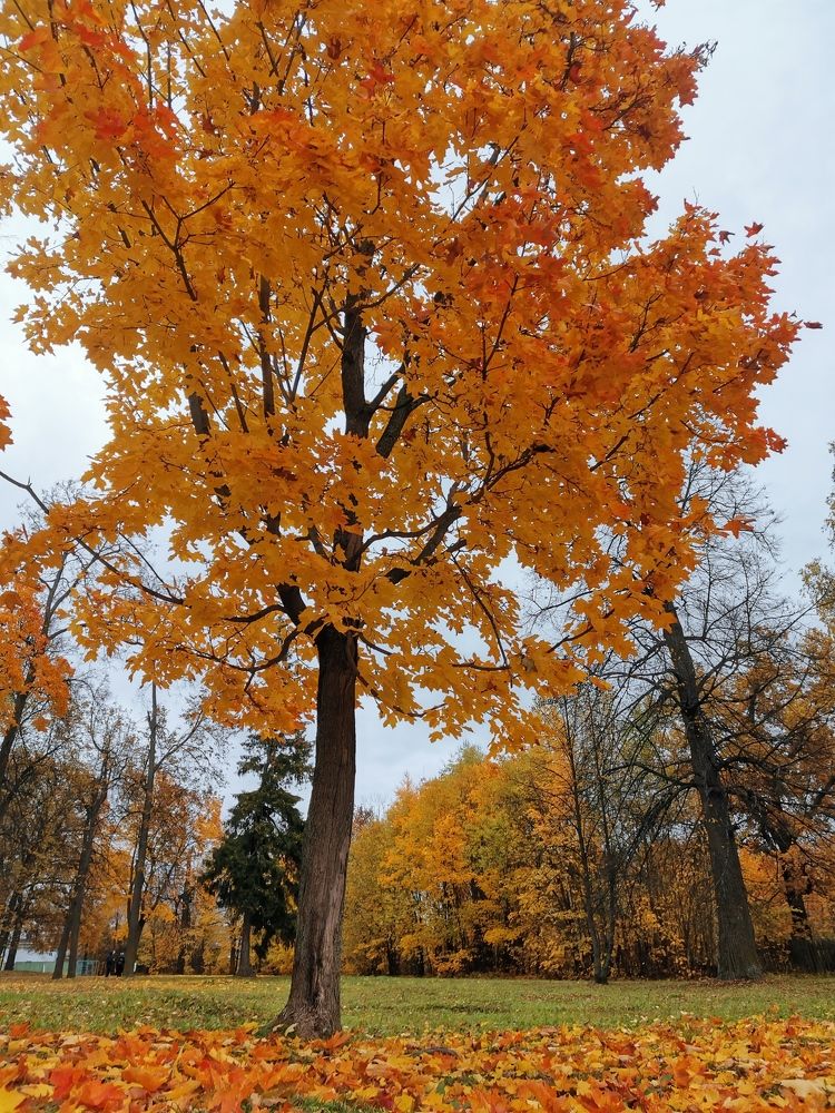 Photograph by Светлана Муравьева