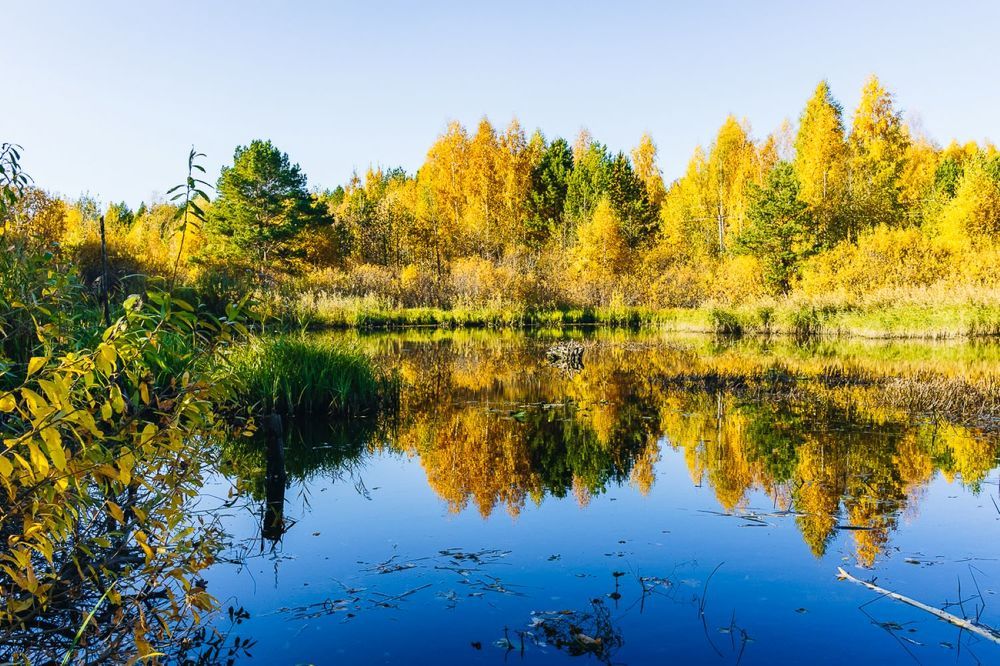 Photograph by Кермен Манджиева