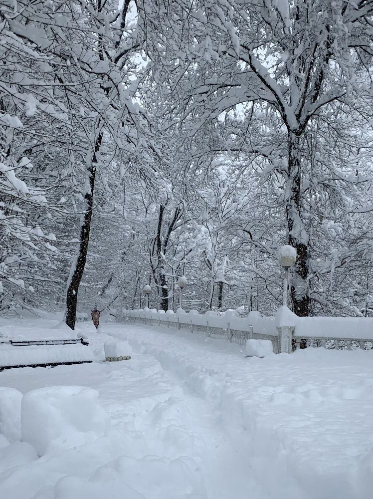 Photograph by Татьяна Семёнова