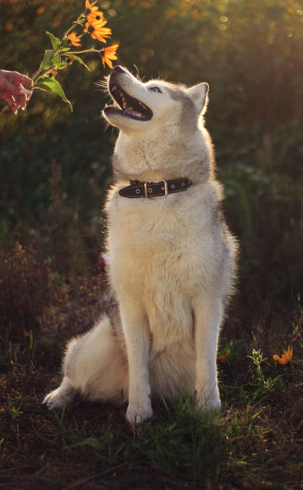 Фотография автора Виолетта