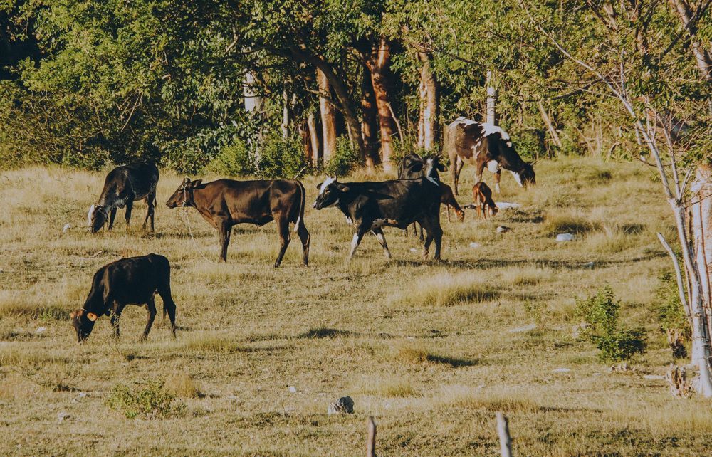 Photograph by Виктория Лаур