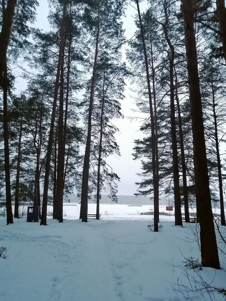 Photograph by Татьяна Ненюхина