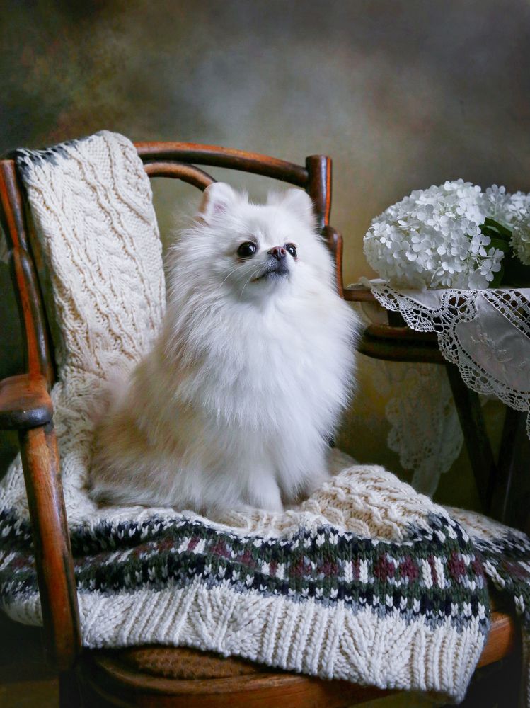 Photograph by Елена Бородина