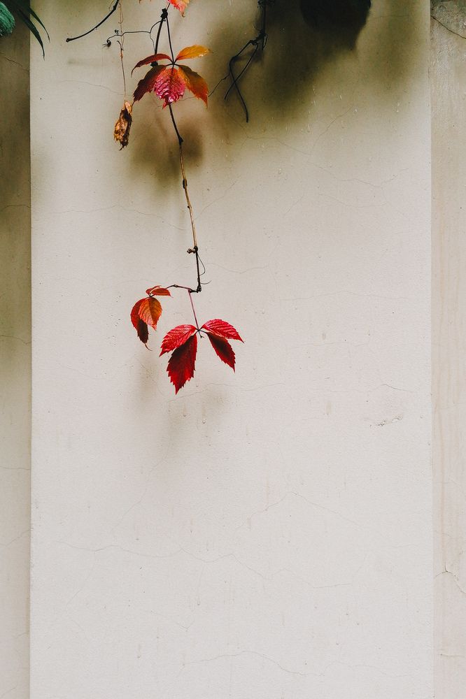 Photograph by Оксана Артемьева