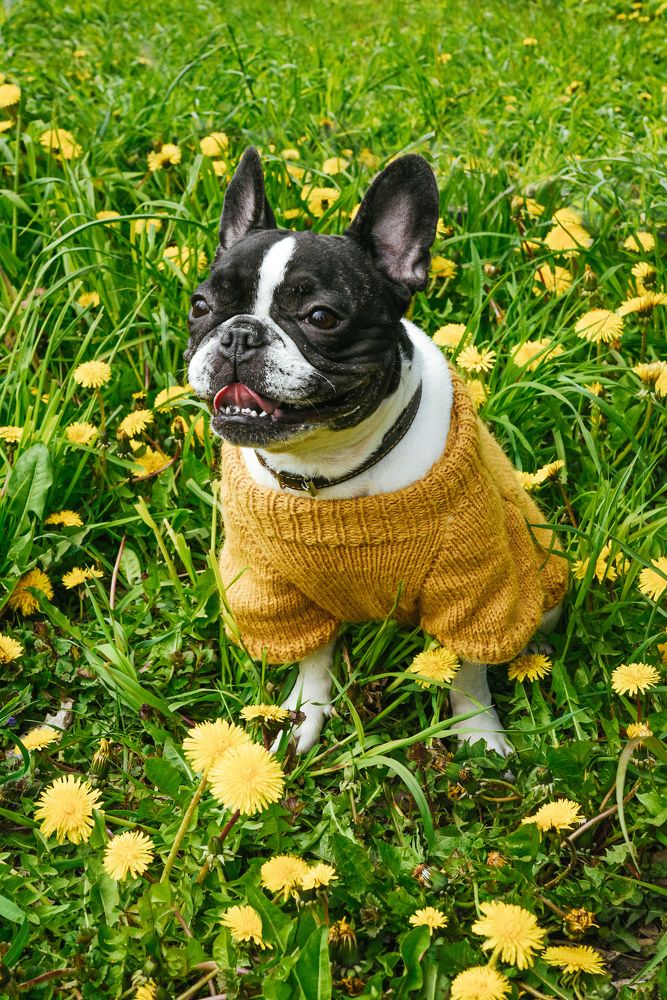 Photograph by Vera_PF